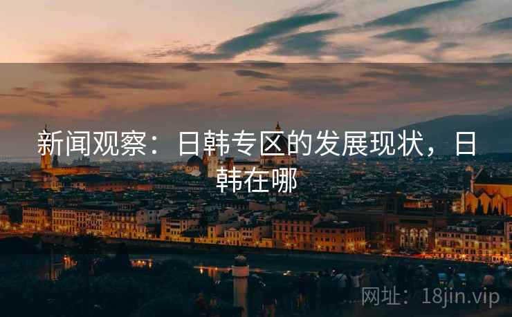 新闻观察:日韩专区的发展现状,日韩在哪