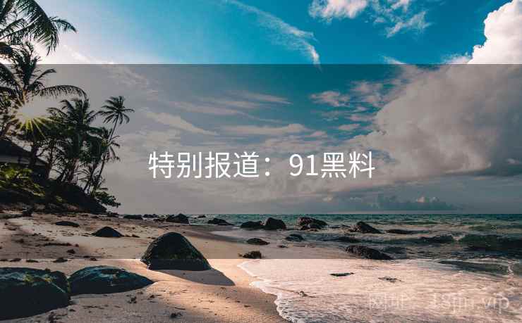 特别报道:91黑料