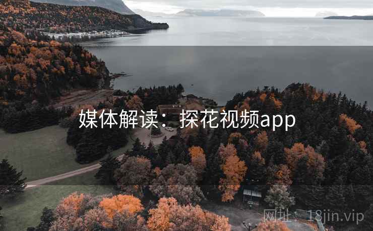 媒体解读:探花视频app 媒体解读:探花视频app