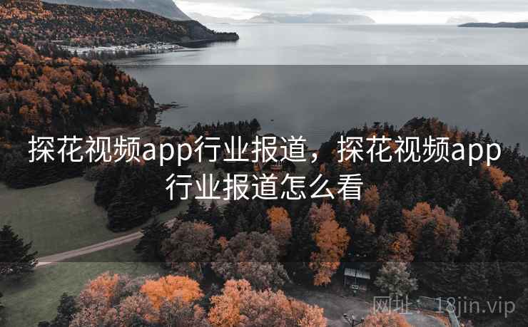 探花视频app行业报道,探花视频app行业报道怎么看
