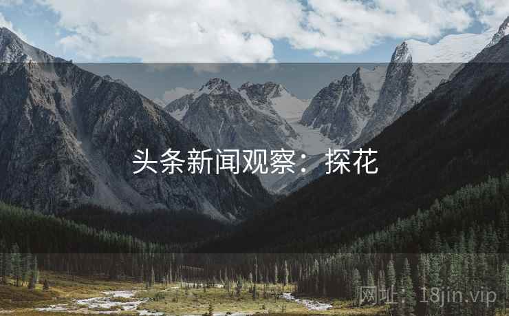 头条新闻观察:探花