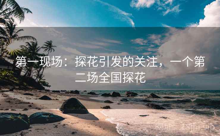 第一现场：探花引发的关注，一个第二场全国探花