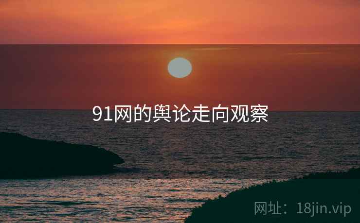 91网的舆论走向观察