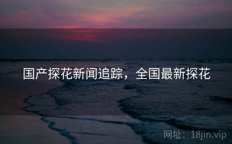 国产探花新闻追踪，全国最新探花
