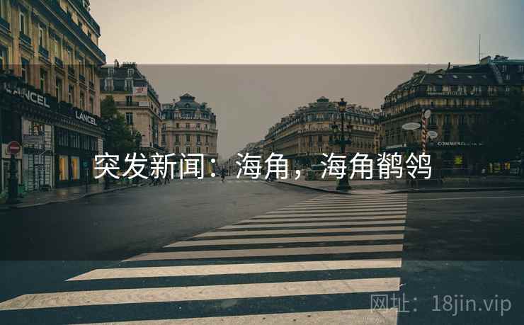 突发新闻：海角，海角鹡鸰