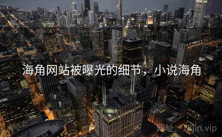 海角网站被曝光的细节,小说海角