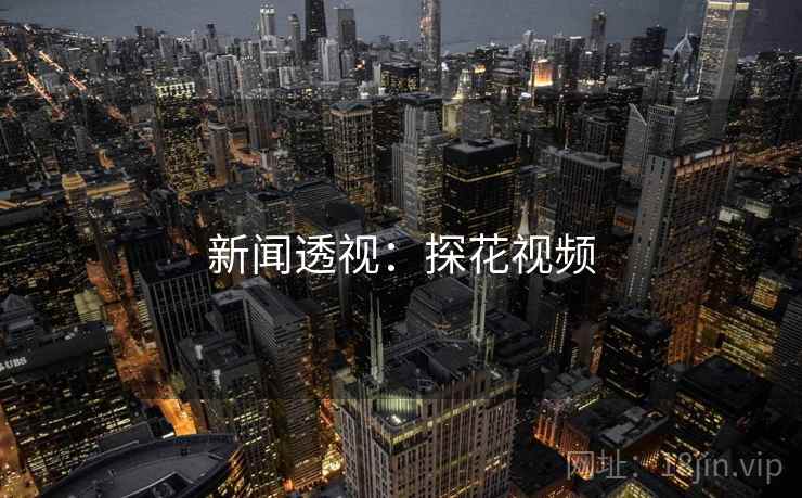 新闻透视:探花视频