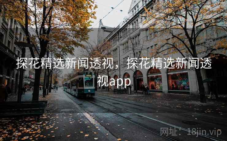 探花精选新闻透视,探花精选新闻透视app