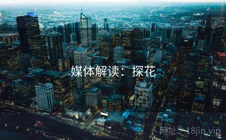 媒体解读:探花