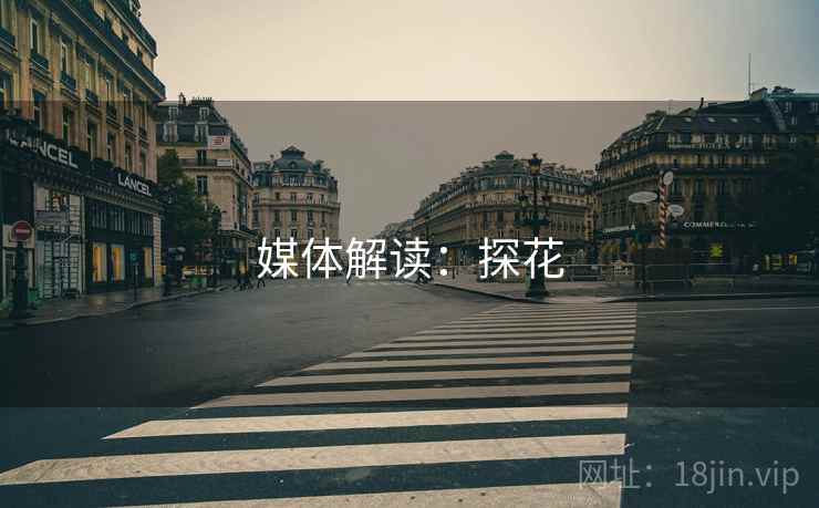媒体解读:探花 媒体解读:探花