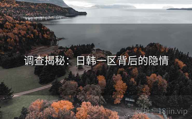 调查揭秘:日韩一区背后的隐情 调查揭秘:日韩一区背后的隐情