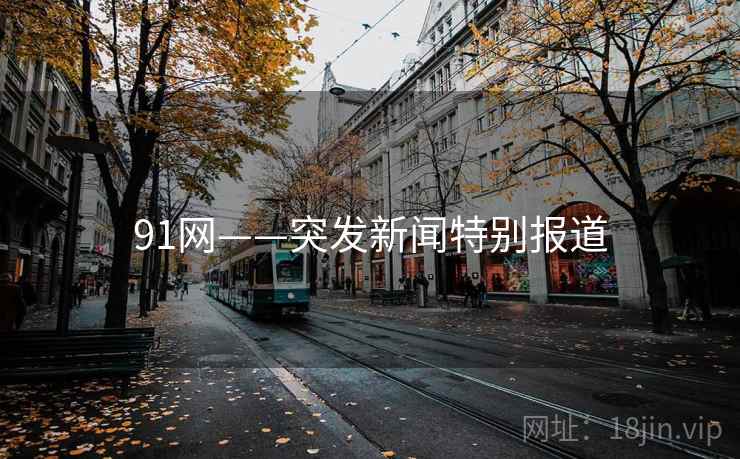 91网——突发新闻特别报道