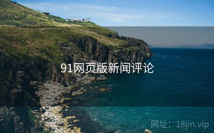 91网页版新闻评论