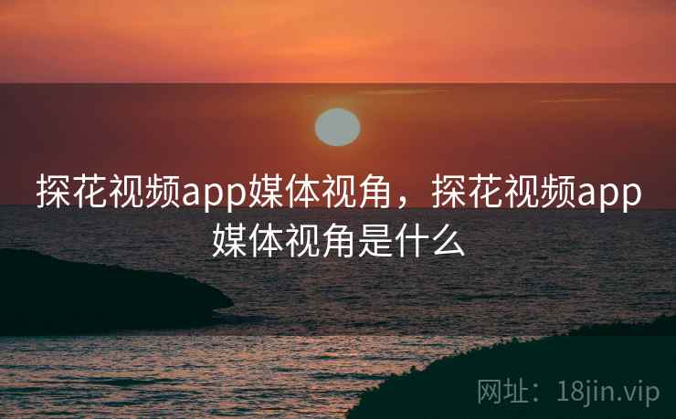 探花视频app媒体视角,探花视频app媒体视角是什么